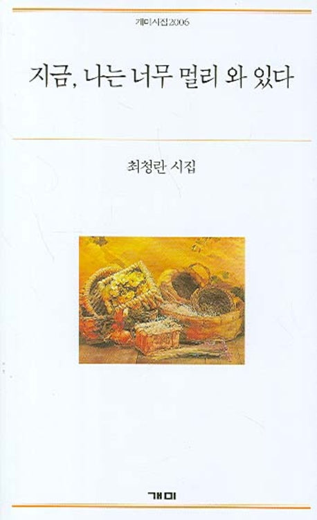 지금 나는 너무 멀리 와 있다(개미시집 2006)