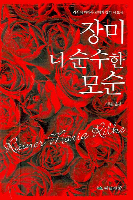 장미 너 순수한 모순