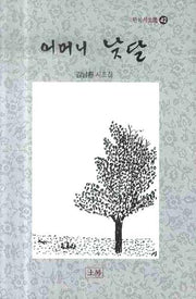 어머니 낮달(한국시조선 42)