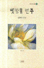 빗방울 변주(한국시조선 43)