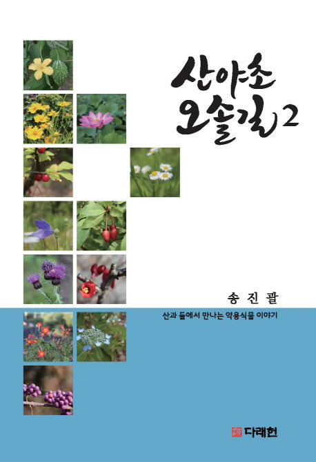 산야초 오솔길 2