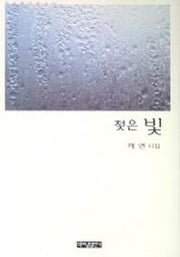 젖은 빛(가슴에 내리는 시)
