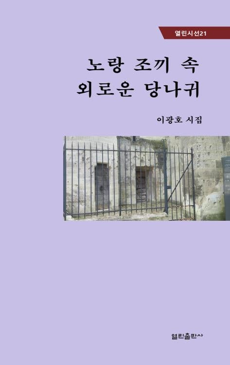 노랑 조끼 속 외로운 당나귀(열린시선 21)