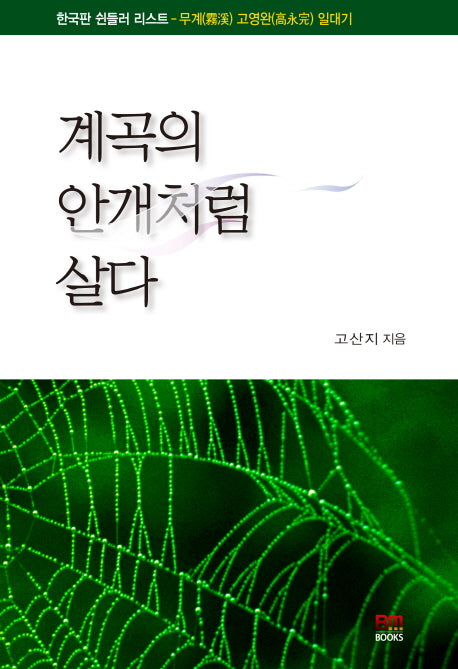 계곡의 안개처럼 살다(반양장)