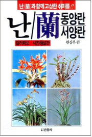난: 동양란 서양란