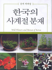 한국의 사계절 분재