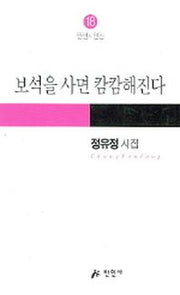 보석을 사면 캄캄해진다(만인시인선 18)