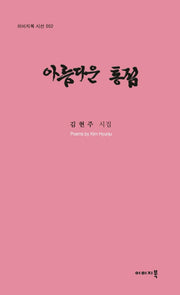 아름다운 통점(이미지북 시선 2)