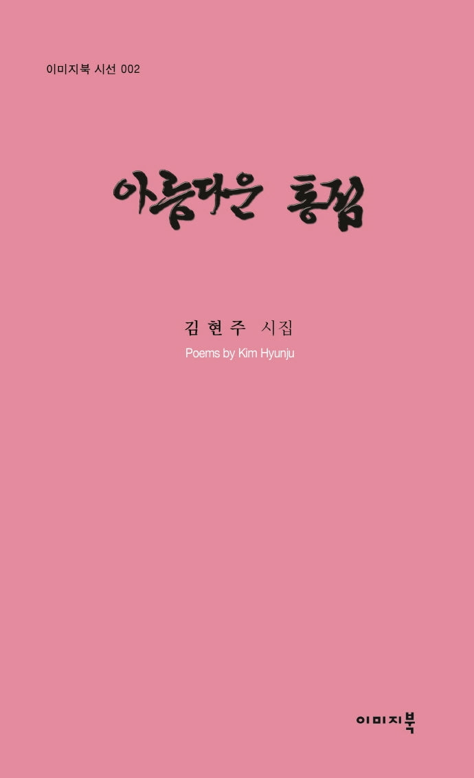 아름다운 통점(이미지북 시선 2)