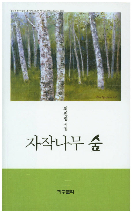 자작나무 숲