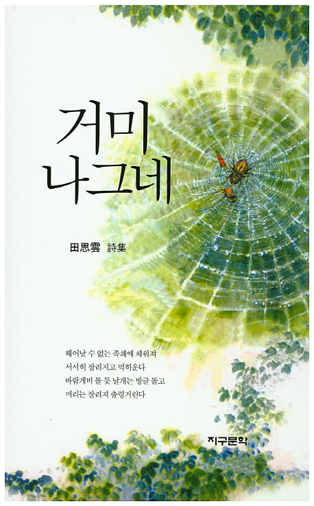 거미 나그네