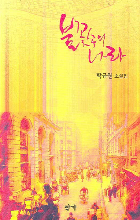 불꽃 속의 나라(양장본 Hardcover)