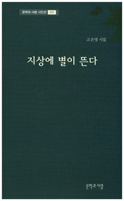 지상에 별이 뜬다(문학과사람 시인선 5)