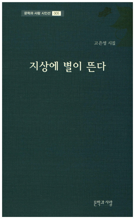 지상에 별이 뜬다(문학과사람 시인선 5)