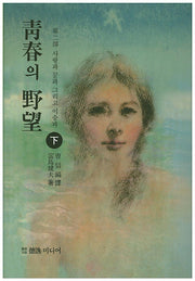 청춘의 야망 제2부(하)(양장본 Hardcover)