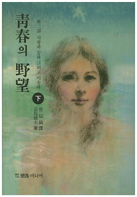 청춘의 야망 제2부(하)(양장본 Hardcover)