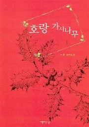 호랑 가시나무 1