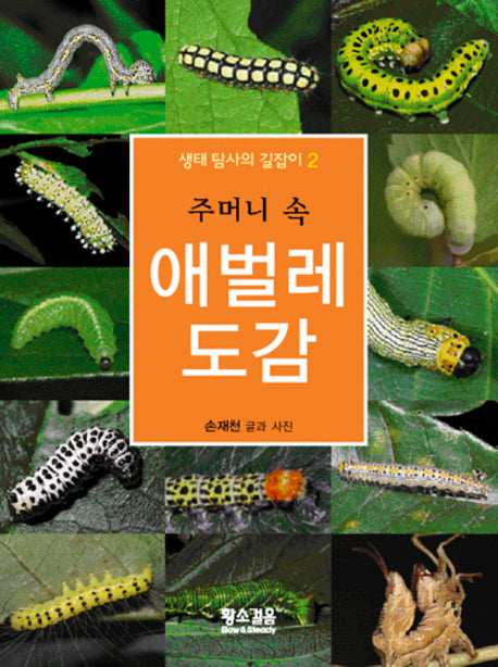 애벌레 도감(주머니 속)(생태탐사의 길잡이 2)
