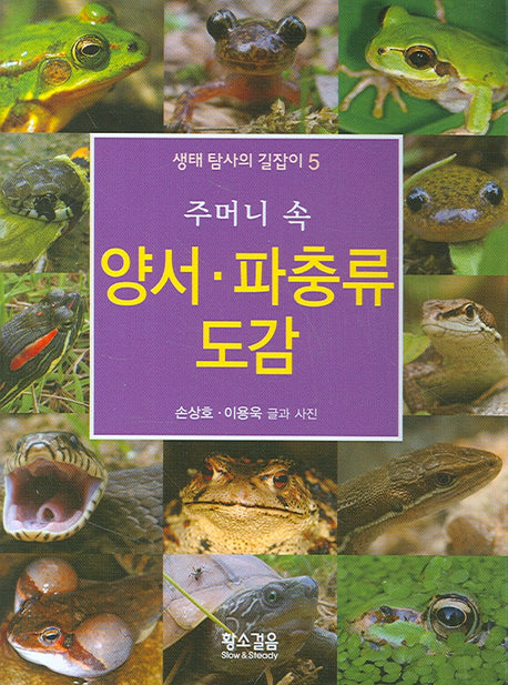 양서 파충류 도감(주머니 속)(생태탐사의 길잡이 5)(포켓북(문고판))