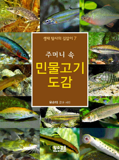 민물고기 도감(주머니속)(생태 탐사의 길잡이 7)(포켓북(문고판))