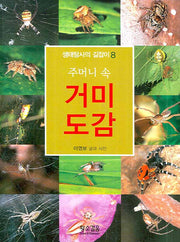 주머니 속 거미도감(생태탐사의 길잡이 8)