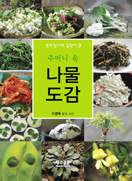 주머니 속 나물도감(생태 탐사의 길잡이 9)
