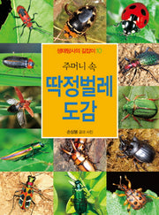 주머니 속 딱정벌레 도감(생태 탐사의 길잡이 10)