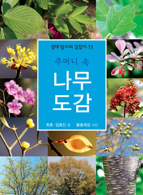 주머니 속 나무 도감(생태 탐사의 길잡이 11)(반양장)