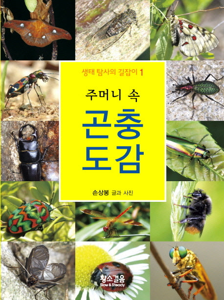 주머니 속 곤충 도감(생태 탐사의 길잡이 1)