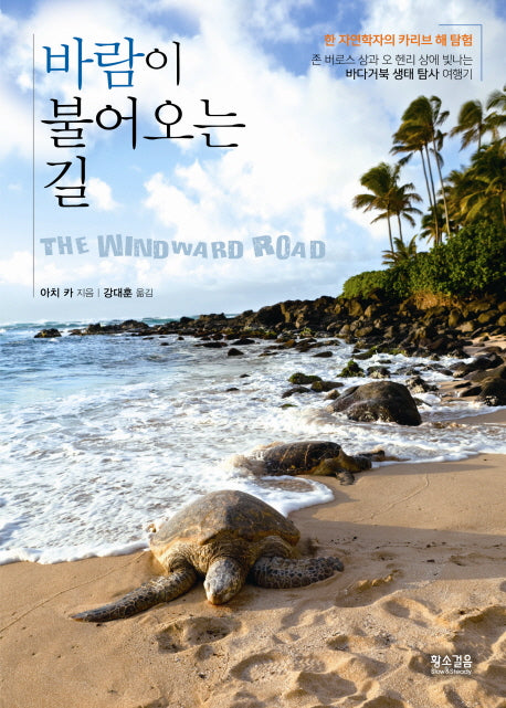 바람이 불어오는 길