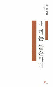 내 피는 불순하다(우리글시선 39)