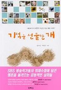 기적을 선물한 개