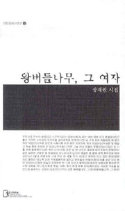 왕버들나무 그 여자(리토피아시인선 52)
