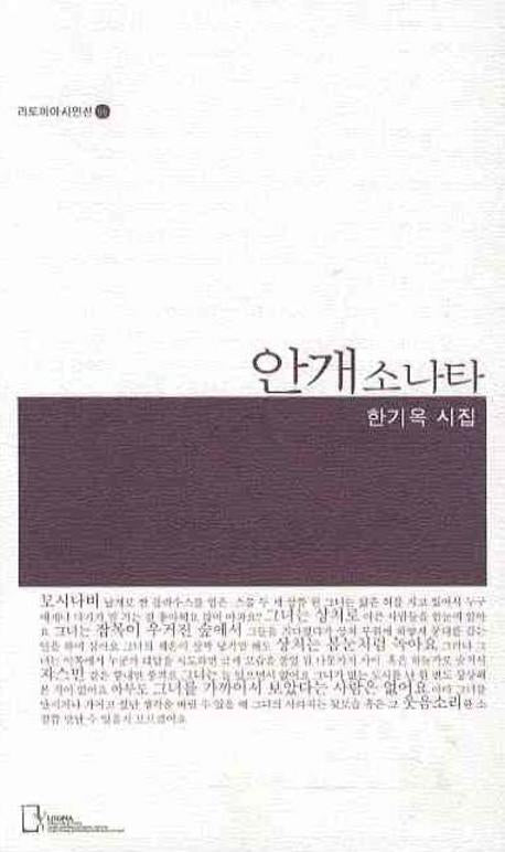 안개소나타(리토피아시인선 55)