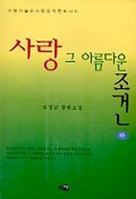 사랑 그 아름다운 조건(하)