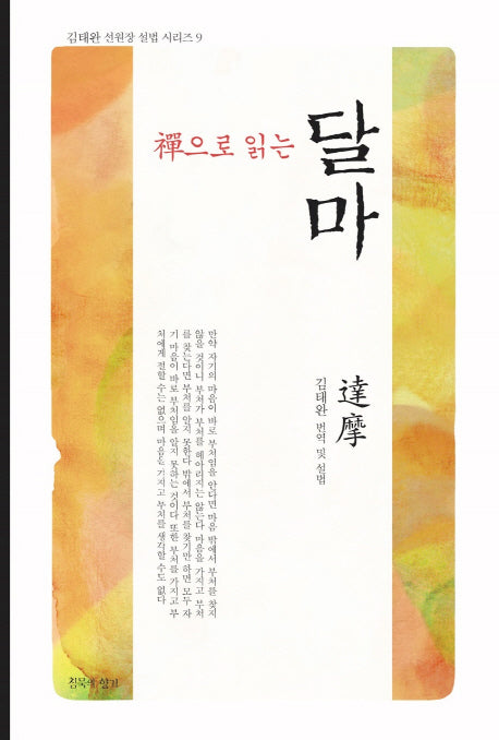 선으로 읽는 달마(김태완 선원장 설법 시리즈 9)