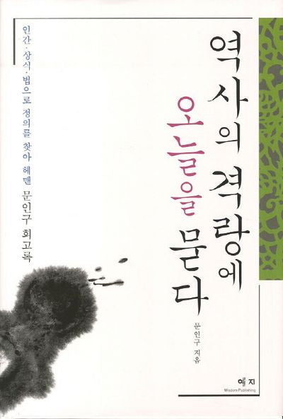 역사의 격랑에 오늘을 묻다(양장본 HardCover)