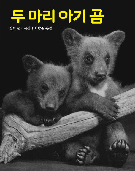 두 마리 아기 곰