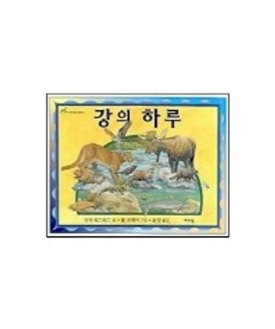 강의 하루