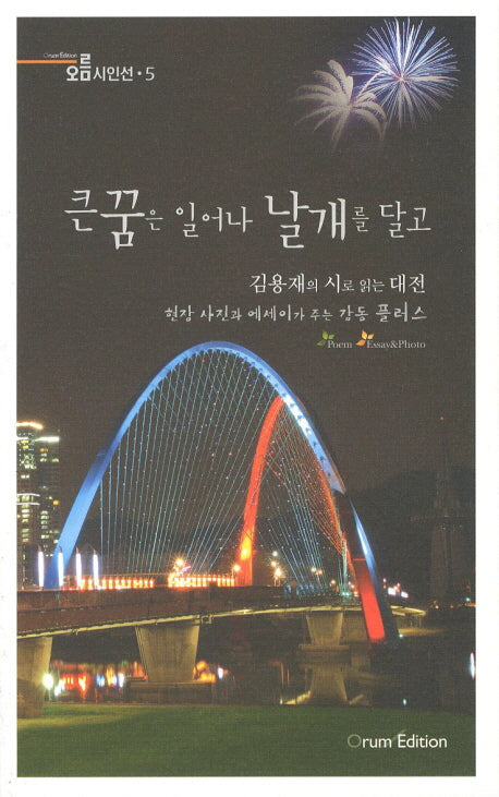 큰 꿈은 일어나 날개를 달고(오름시인선 5)