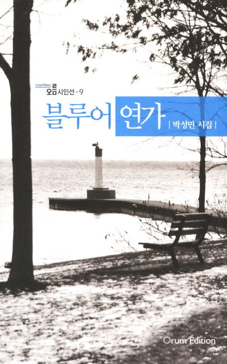 블루어 연가(오름시인선 9)