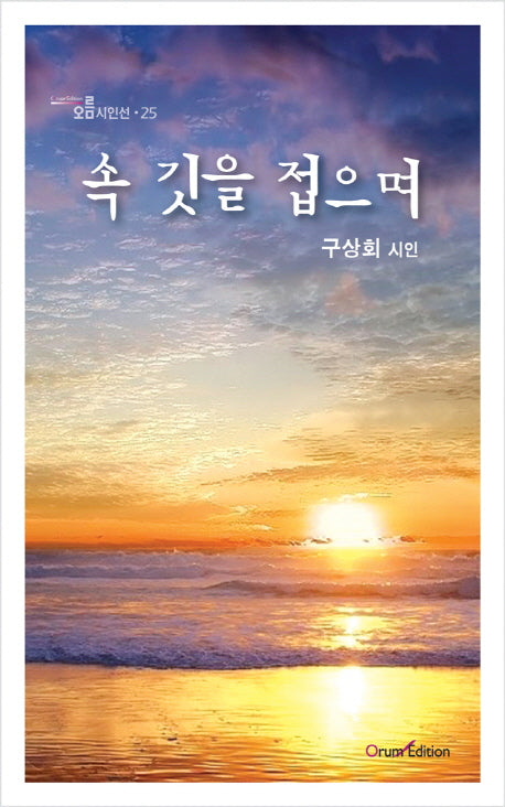 속 깃을 접으며(오름시인선 25)