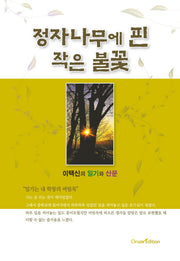 정자나무에 핀 작은 불꽃