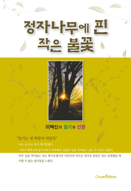 정자나무에 핀 작은 불꽃