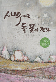 사막에는 돌꽃이 핀다