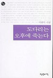 도다리는 오후에 죽는다