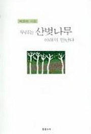 우리는 산벚나무 아래서 만난다