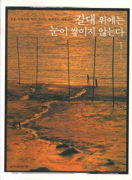 갈대 위에는 눈이 쌓이지 않는다