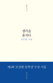 생각을 훔치다(삶창시선 30)