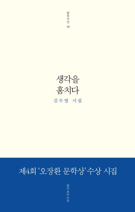 생각을 훔치다(삶창시선 30)